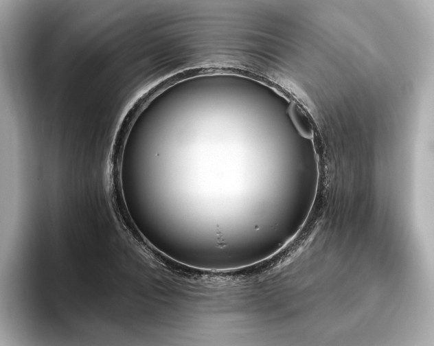 X0000093750928200710161155