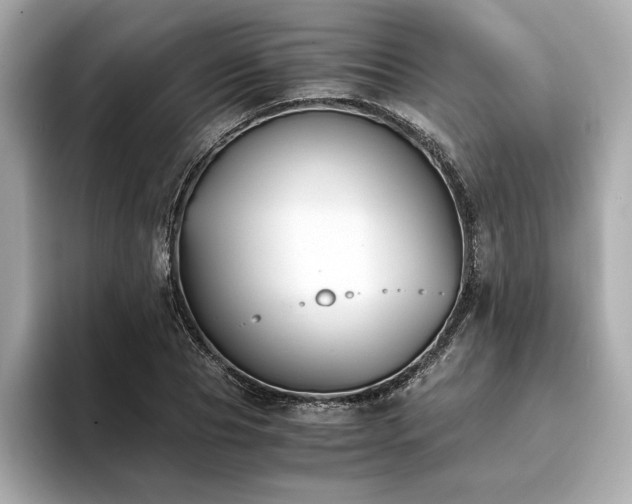 X0000093750929200710161155