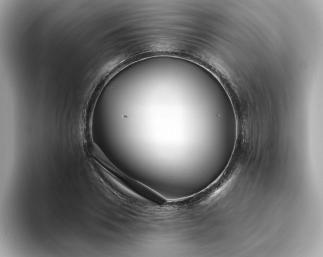 X0000093750930200710161155