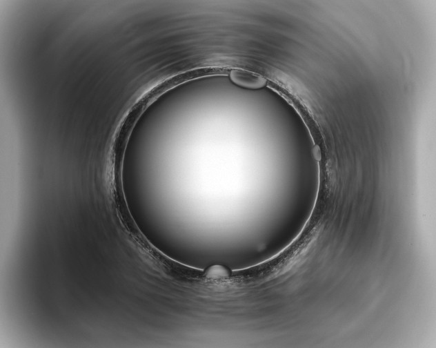 X0000093750931200710161155
