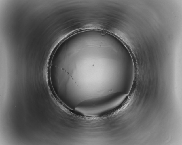 X0000093750941200710161155