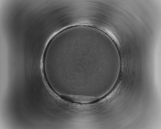 X0000093750944200710161155