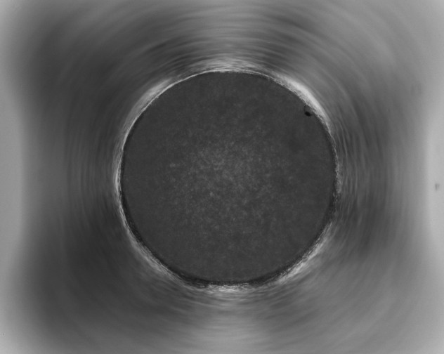 X0000093750946200710161155
