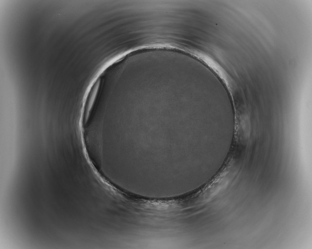 X0000093750951200710161155