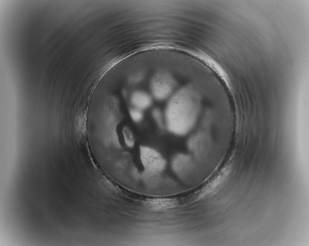 X0000093750953200710161155