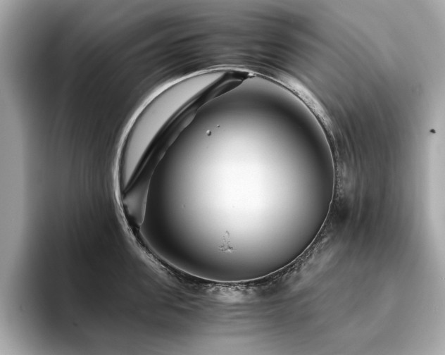 X0000093750955200710161155