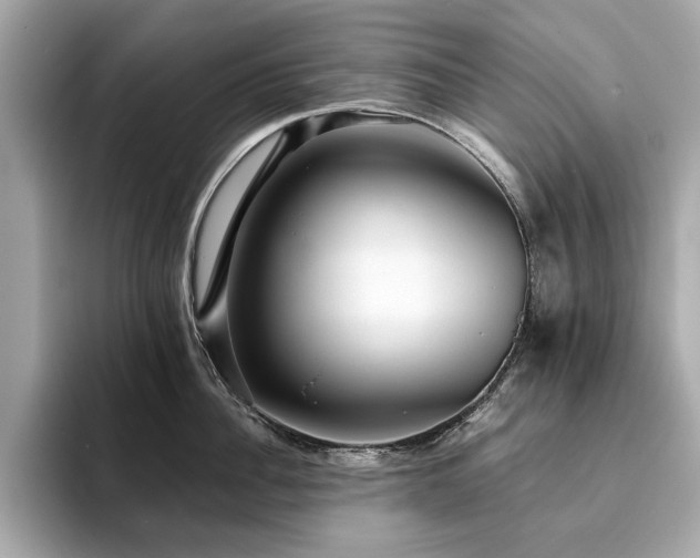 X0000093750956200710161155