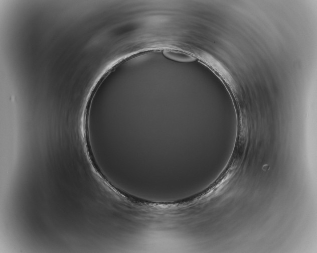 X0000093750958200710161155