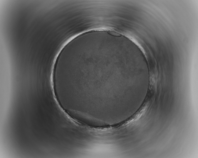 X0000093750959200710161155