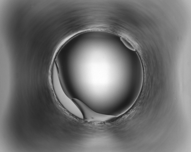 X0000093750960200710161155