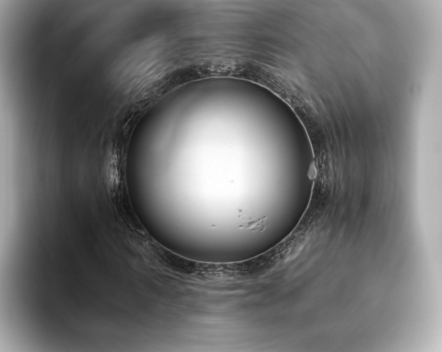 X0000093750962200710161154