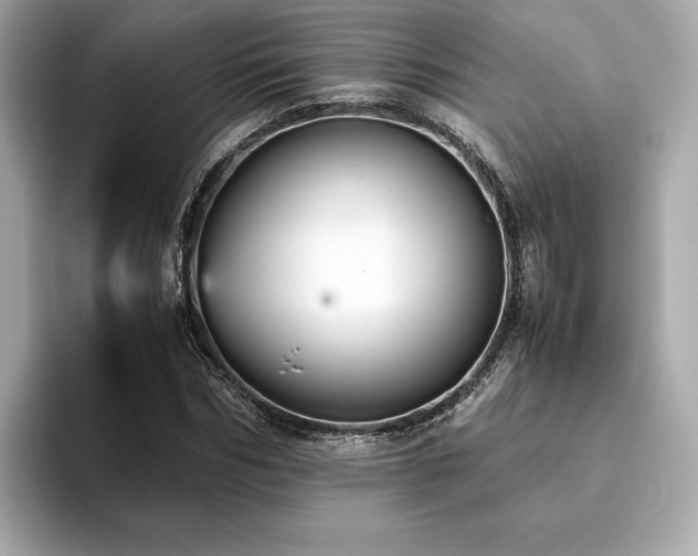 X0000093750970200710161154