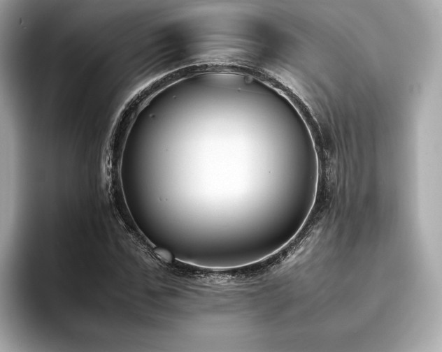 X0000093750971200710161154