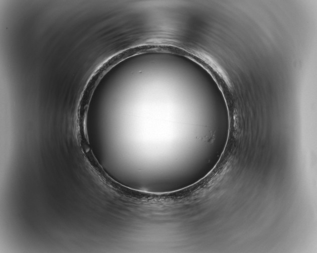 X0000093750972200710161154