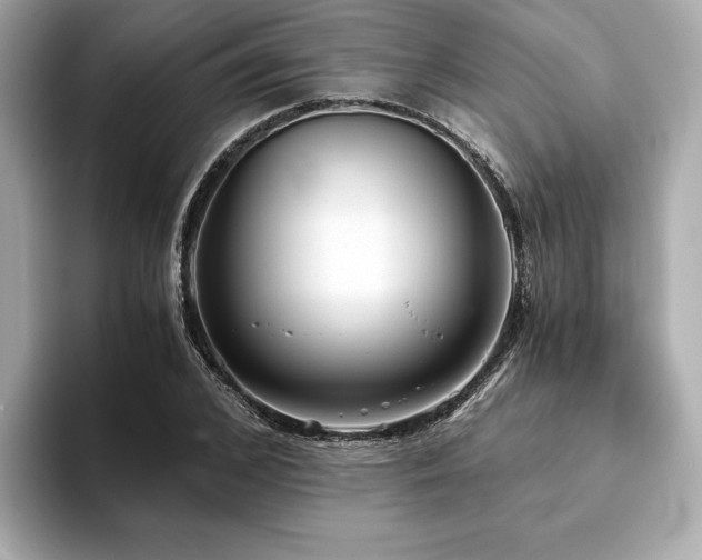 X0000093750976200710161154