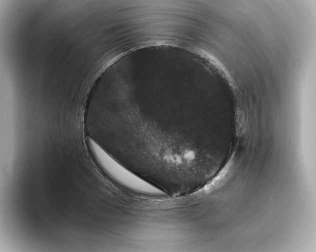 X0000093750977200710161154
