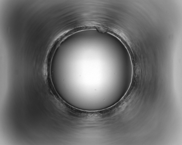 X0000093750979200710161154