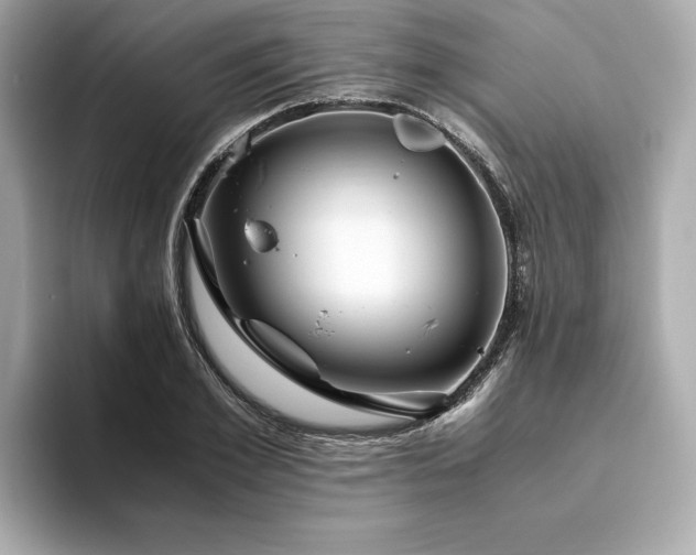 X0000093750981200710161154
