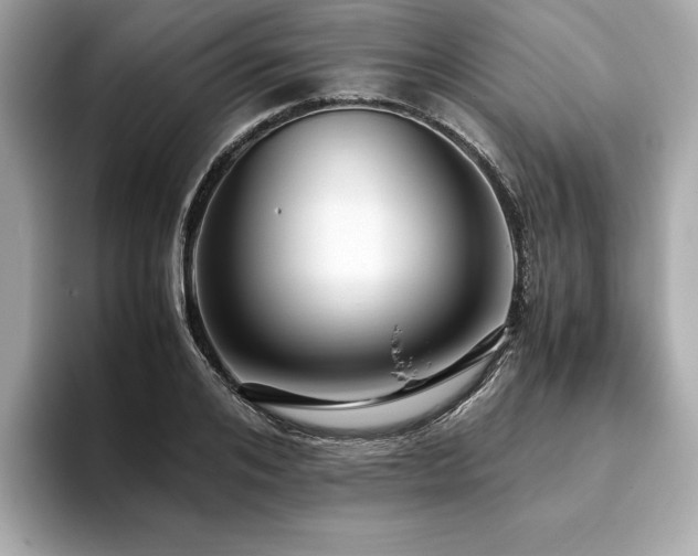 X0000093750984200710161154
