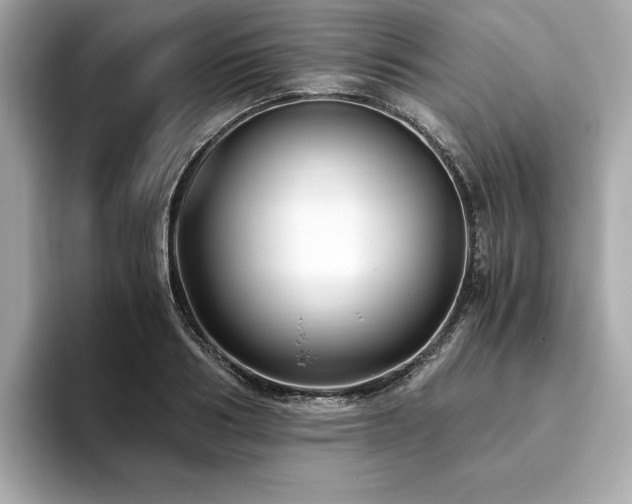 X0000093750986200710161154