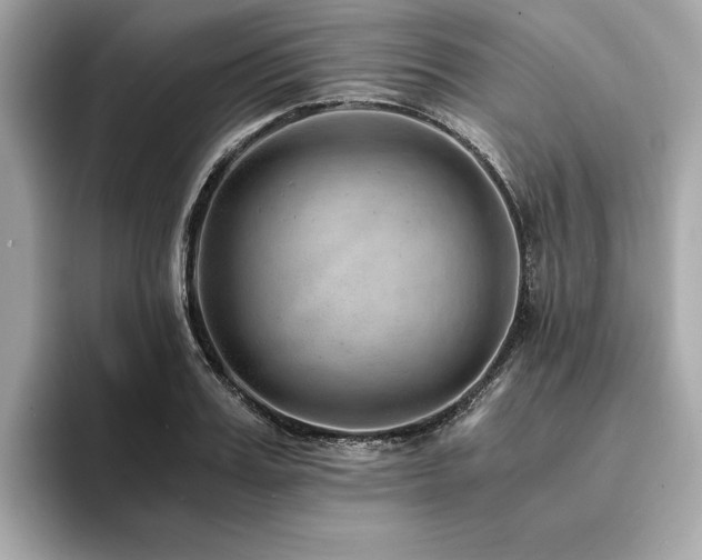 X0000093750987200710161154