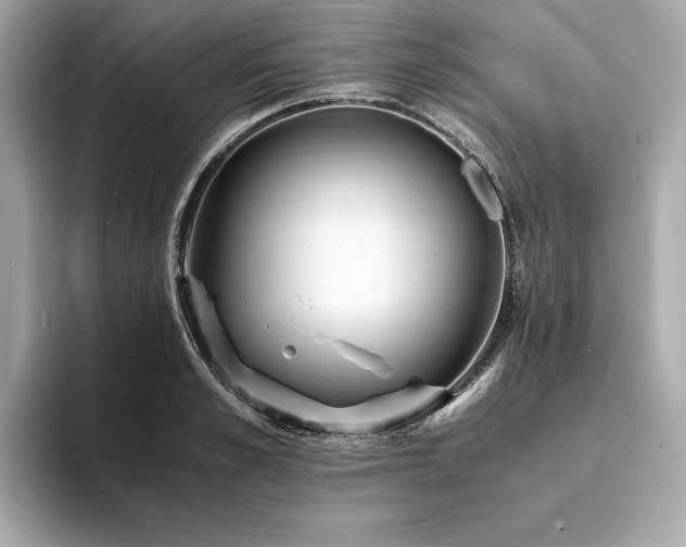 X0000093750989200710161154