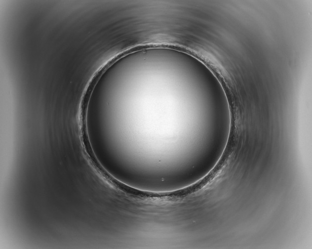 X0000093750990200710161154