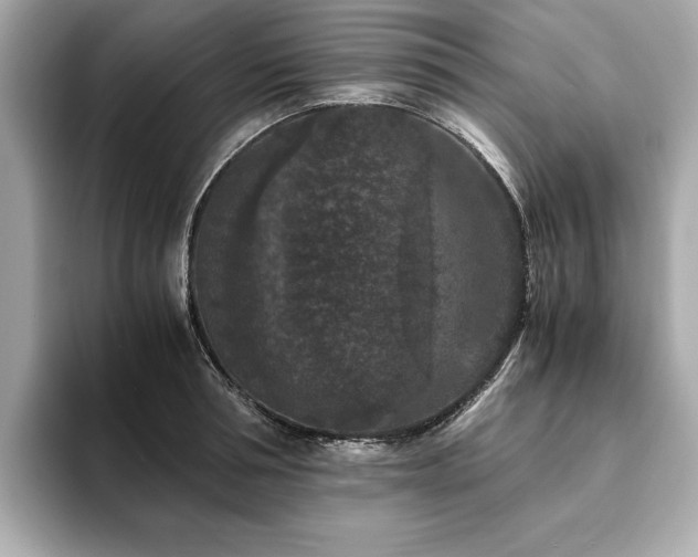 X0000093750994200710161154