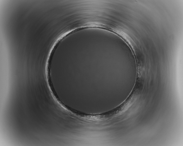 X0000093750995200710161154