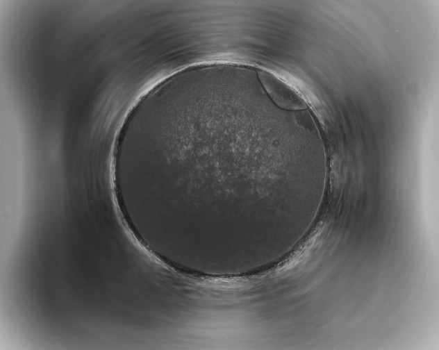 X0000093750998200710161154