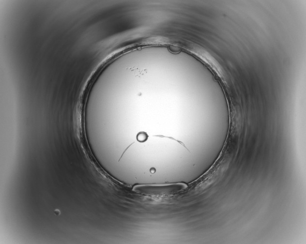X0000093751000200710161154