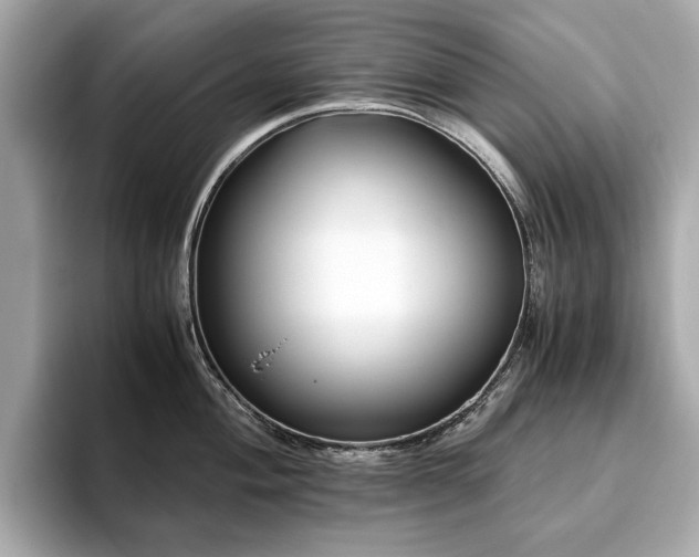X0000093751004200710161154