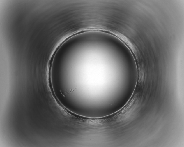 X0000093751006200710161154