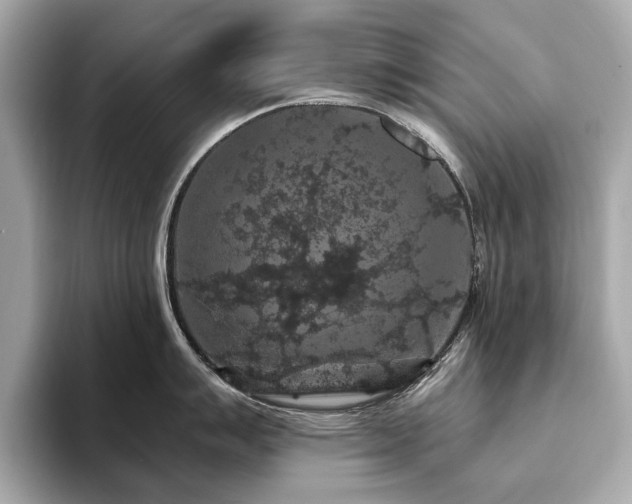 X0000093751007200710161154