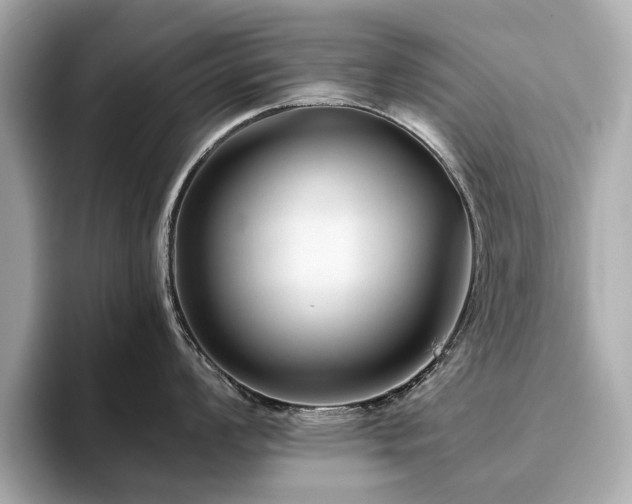 X0000093751008200710161154