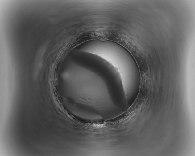 X0000093751009200710161153