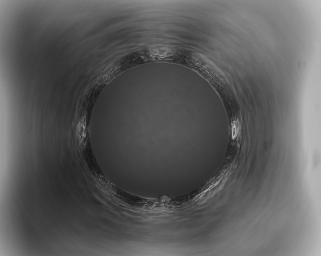X0000093751011200710161153
