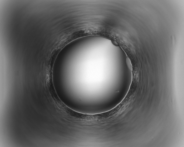 X0000093751012200710161153
