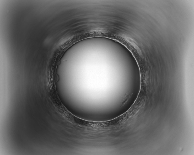X0000093751015200710161153