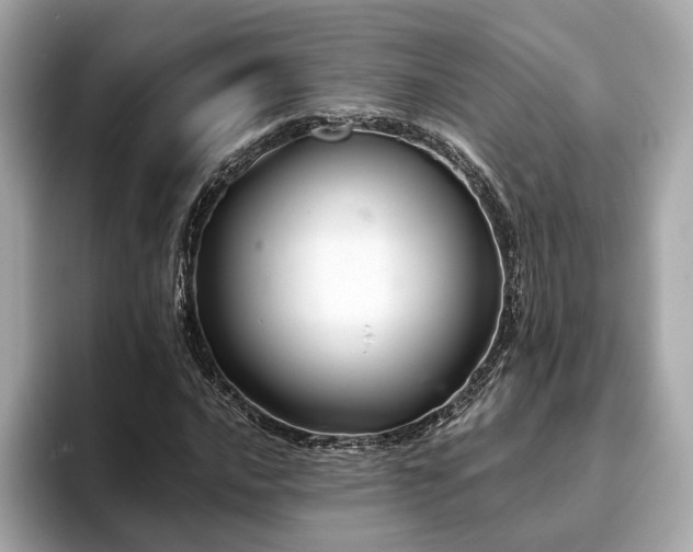 X0000093751016200710161153