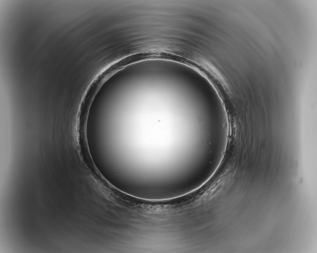 X0000093751020200710161153
