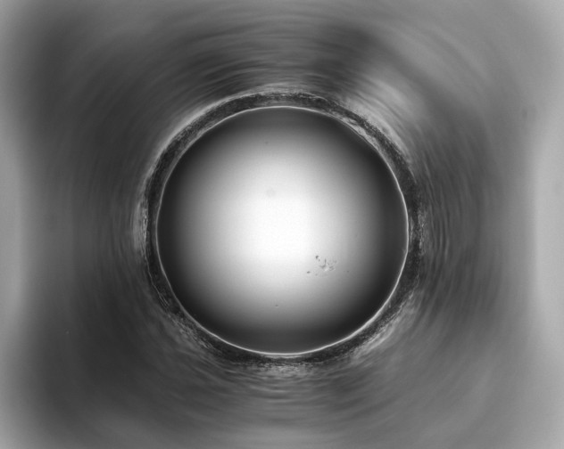 X0000093751021200710161153