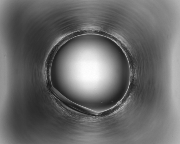 X0000093751022200710161153
