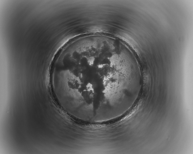 X0000093751023200710161153