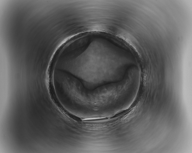 X0000093751024200710161153