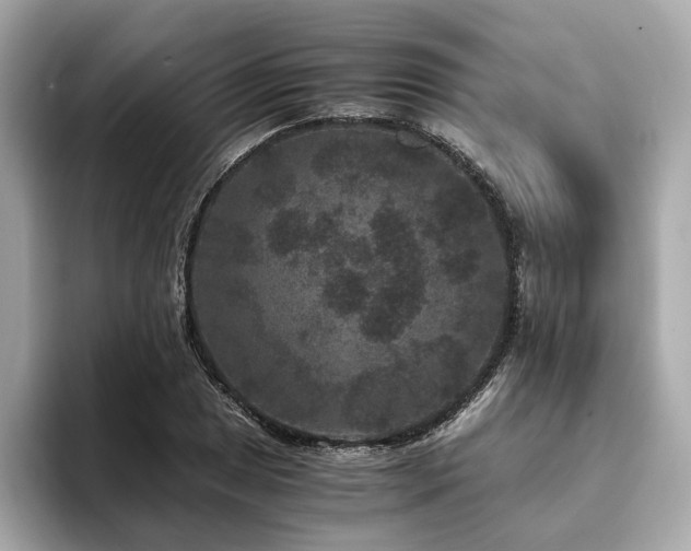 X0000093751025200710161153