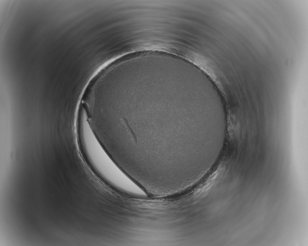 X0000093751028200710161153