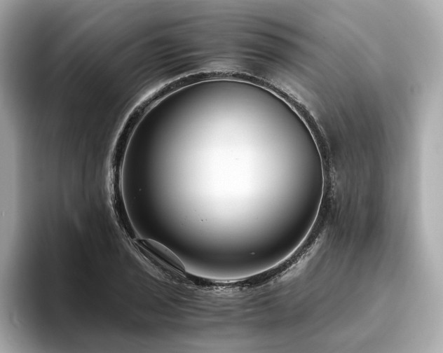 X0000093751029200710161153