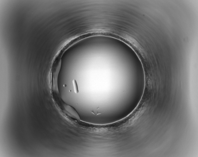 X0000093751030200710161153