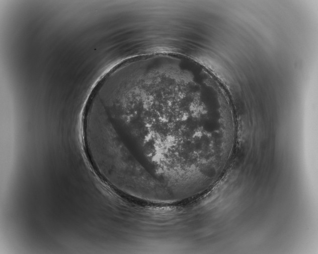 X0000093751031200710161153